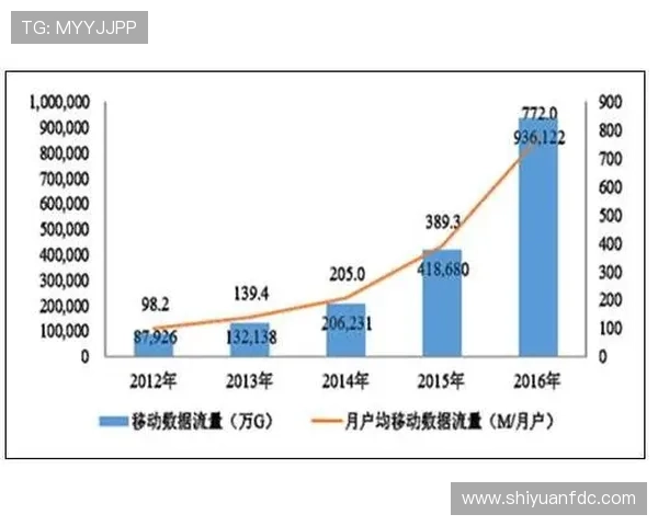 深入剖析杭州排球队近期状态表现与未来发展趋势