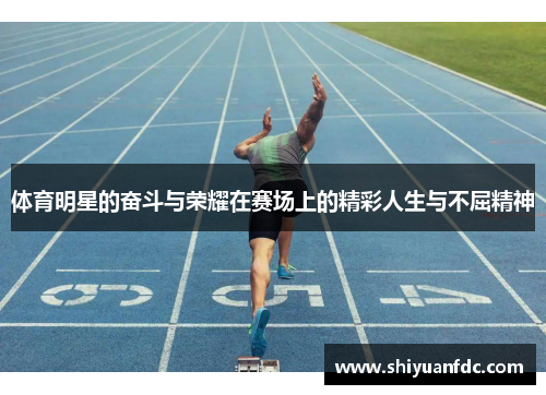 体育明星的奋斗与荣耀在赛场上的精彩人生与不屈精神