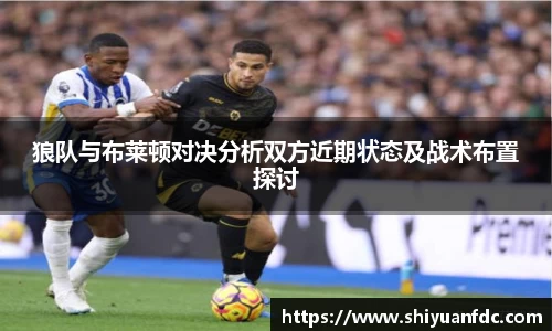 必一狼队与布莱顿对决分析双方近期状态及战术布置探讨